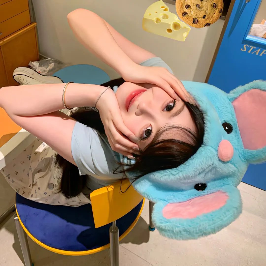 好月重圆